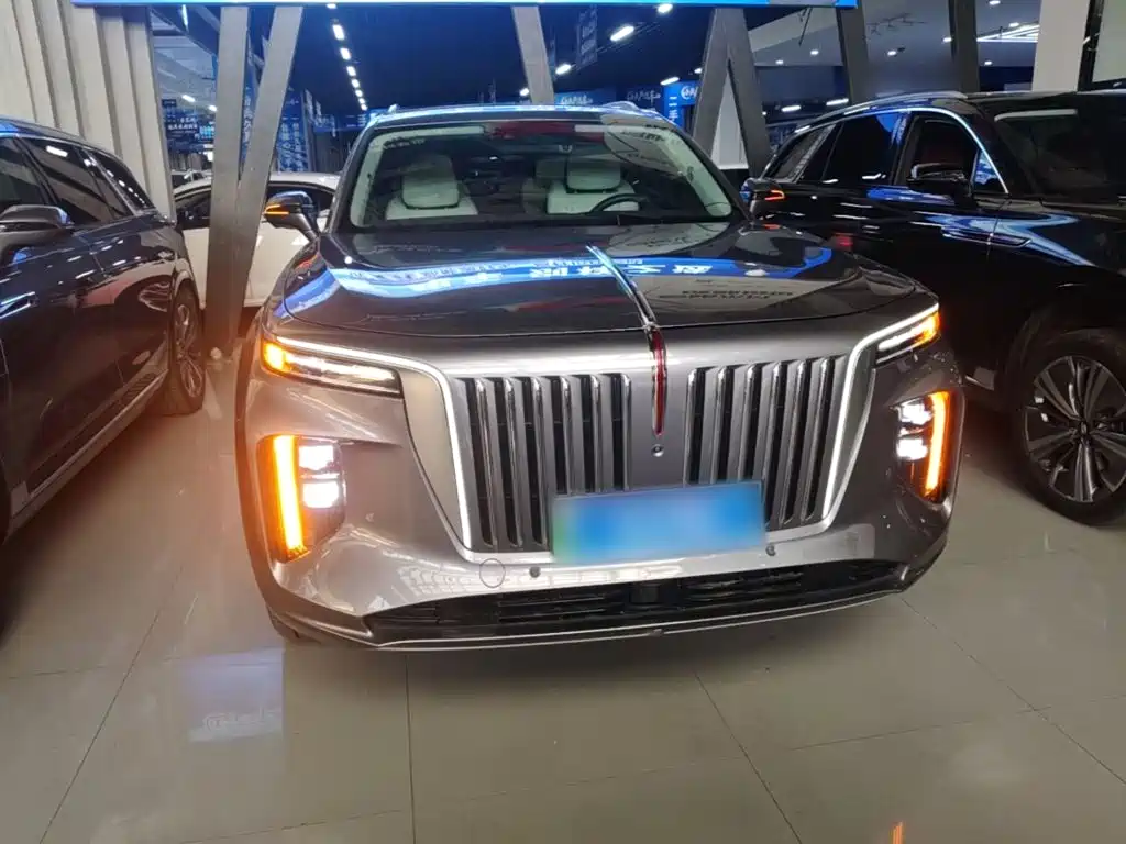 Hongqi Hongqi E-HS9 — миниатюра 3