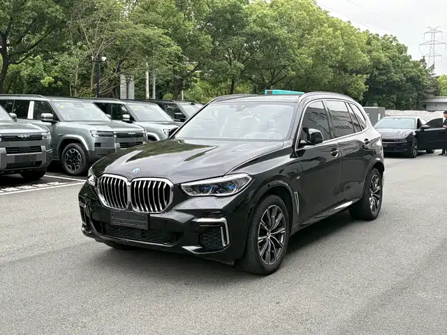 BMW X 5 2022 x Drive 30 Li M — фото 1