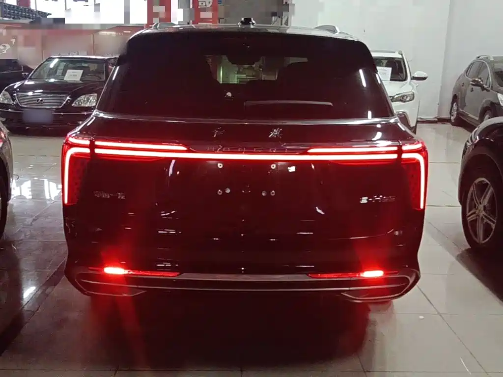 Hongqi E-HS9 2021 510km мест