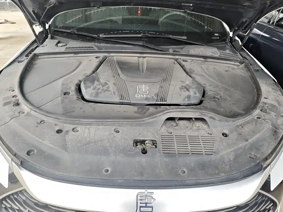 BYD Tang New Energy — миниатюра 10