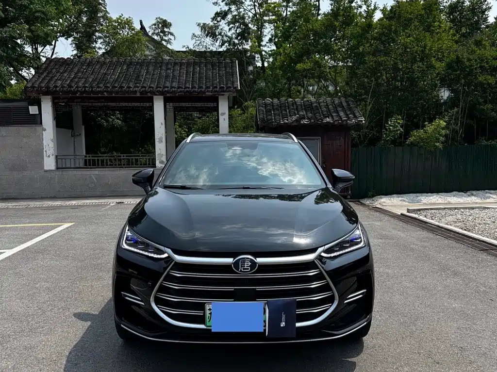 Byd Tang New Energy 2023