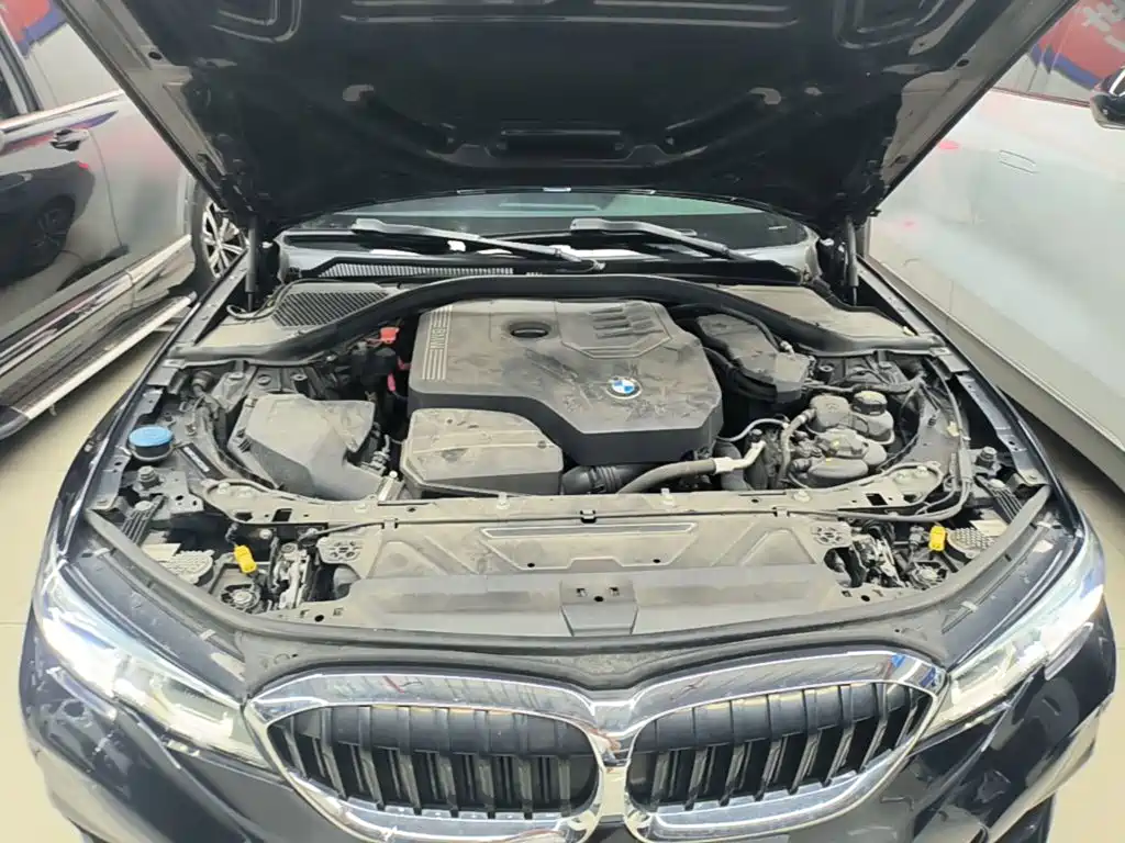 BMW 3 Series — миниатюра 20