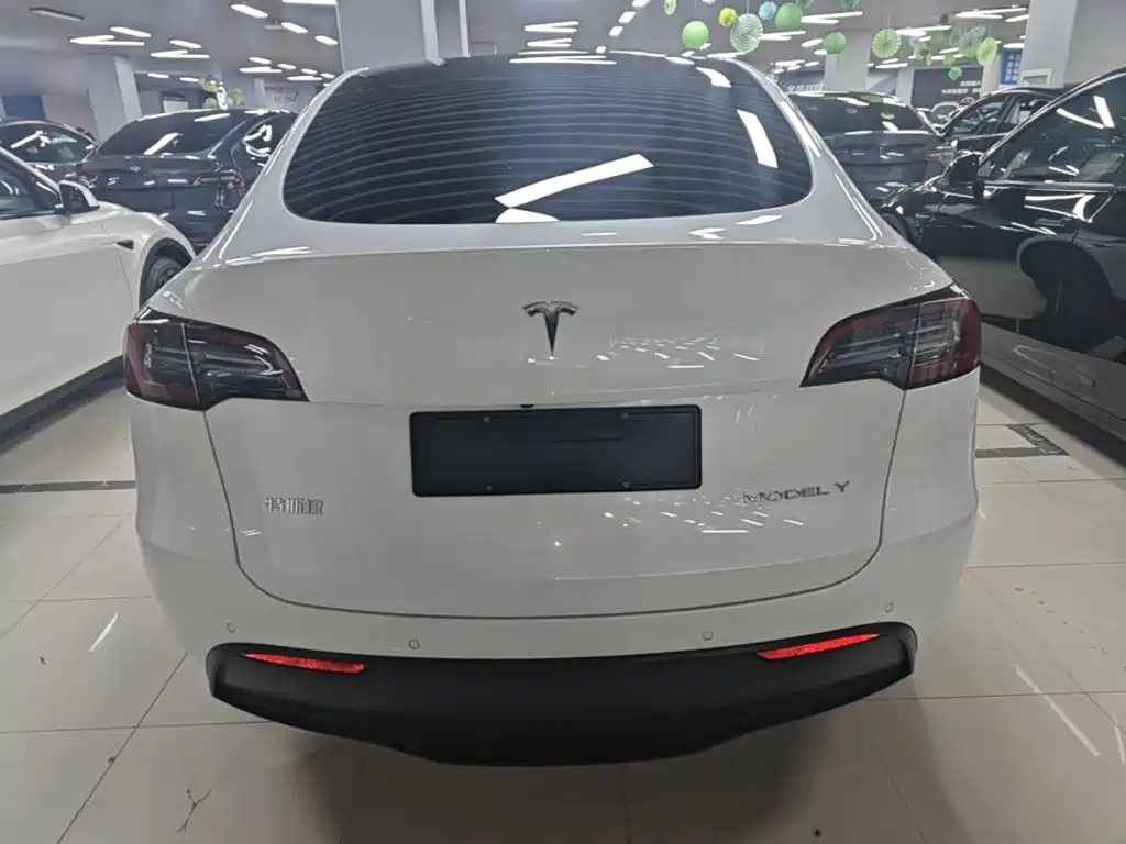 Tesla Model Y — миниатюра 6