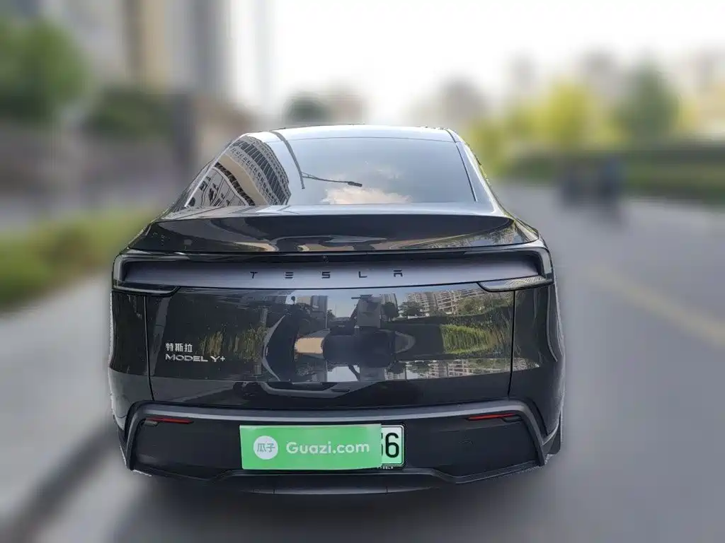 Tesla Model Y — миниатюра 5