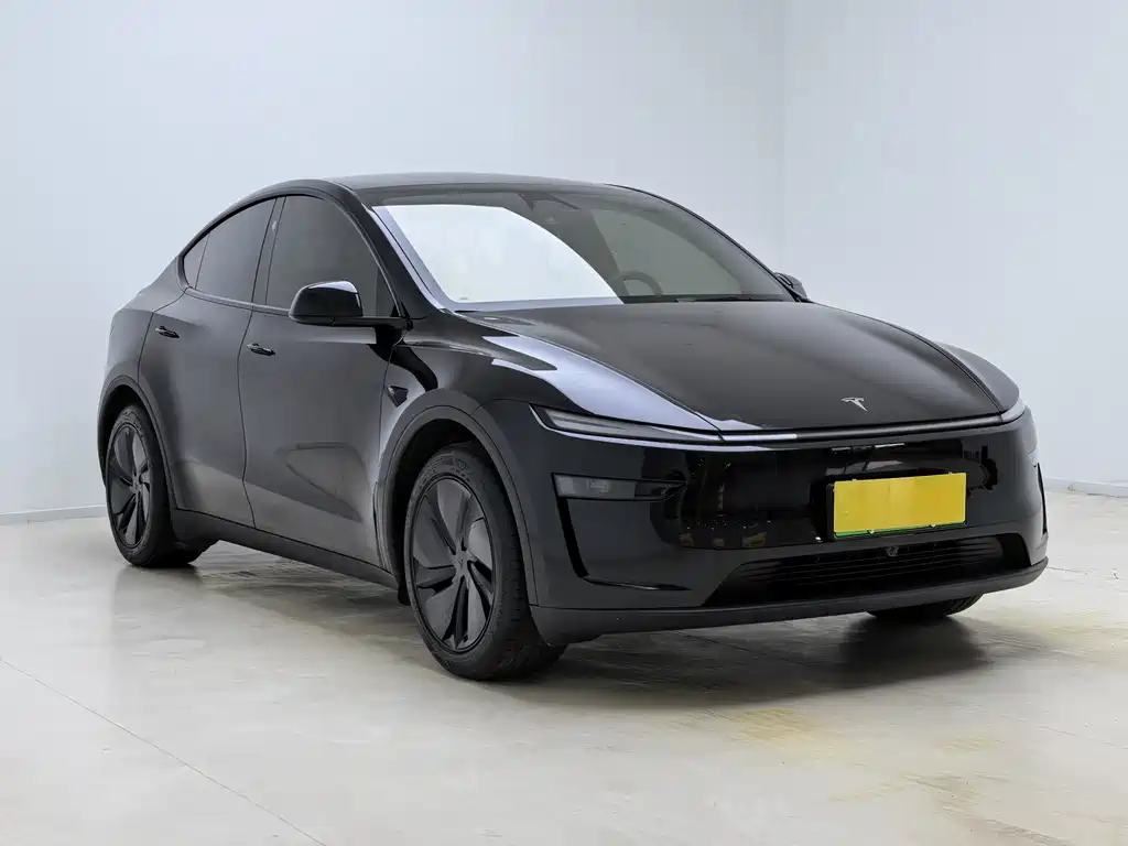 Tesla Model Y — миниатюра 3