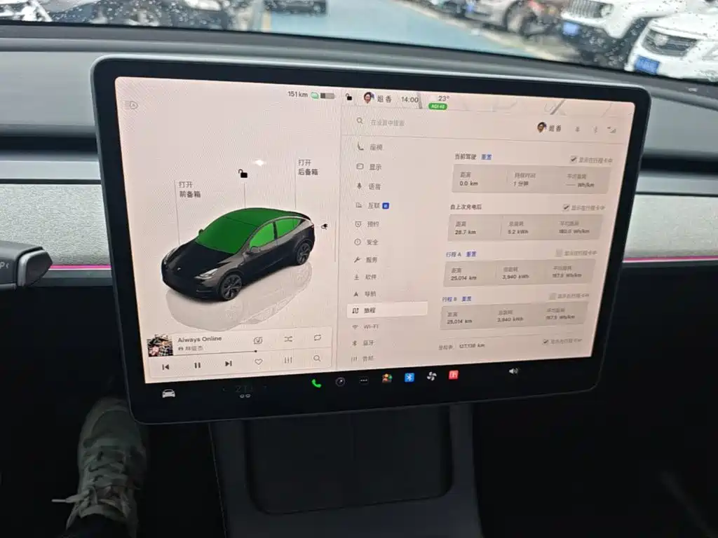 Tesla Model Y — миниатюра 13