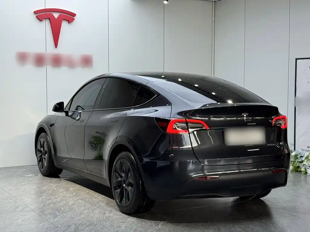 Tesla Model Y — миниатюра 5