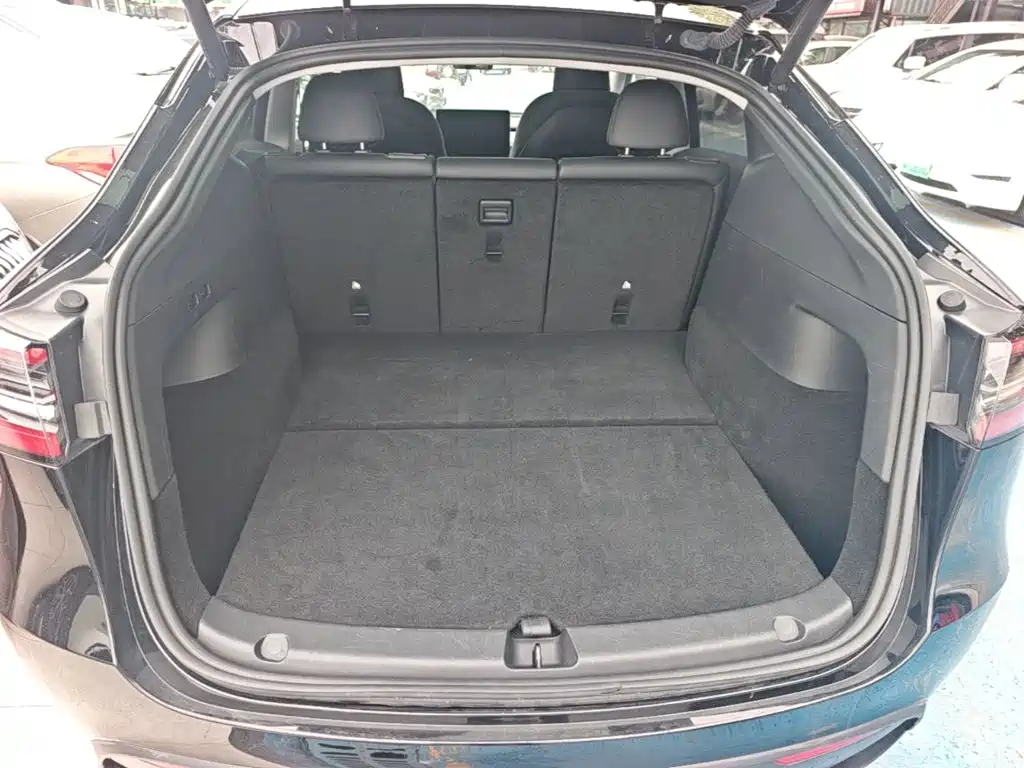 Tesla Model Y — миниатюра 19