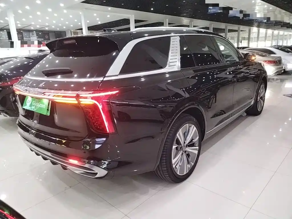 Hongqi Hongqi E-HS9 — миниатюра 7