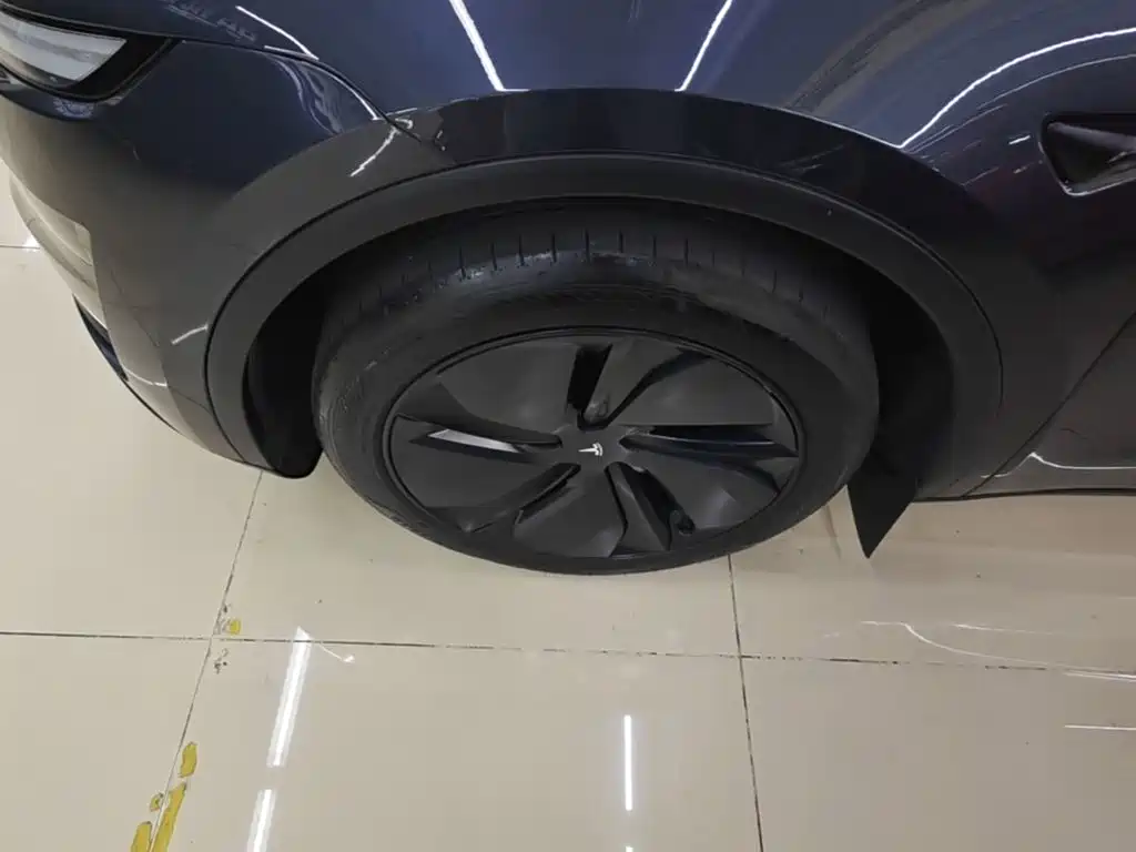 Tesla Model Y — миниатюра 23