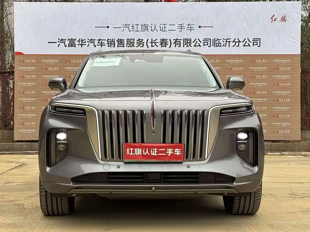 Hongqi Hongqi E-HS9 — миниатюра 2