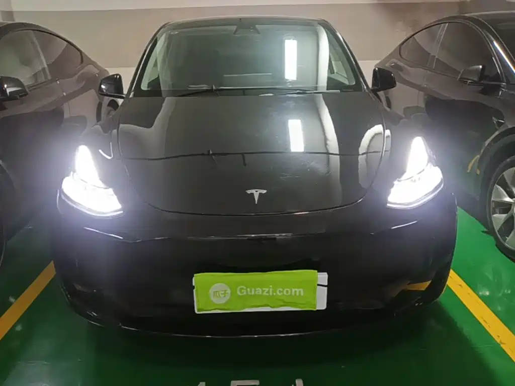 Tesla Model Y — миниатюра 3