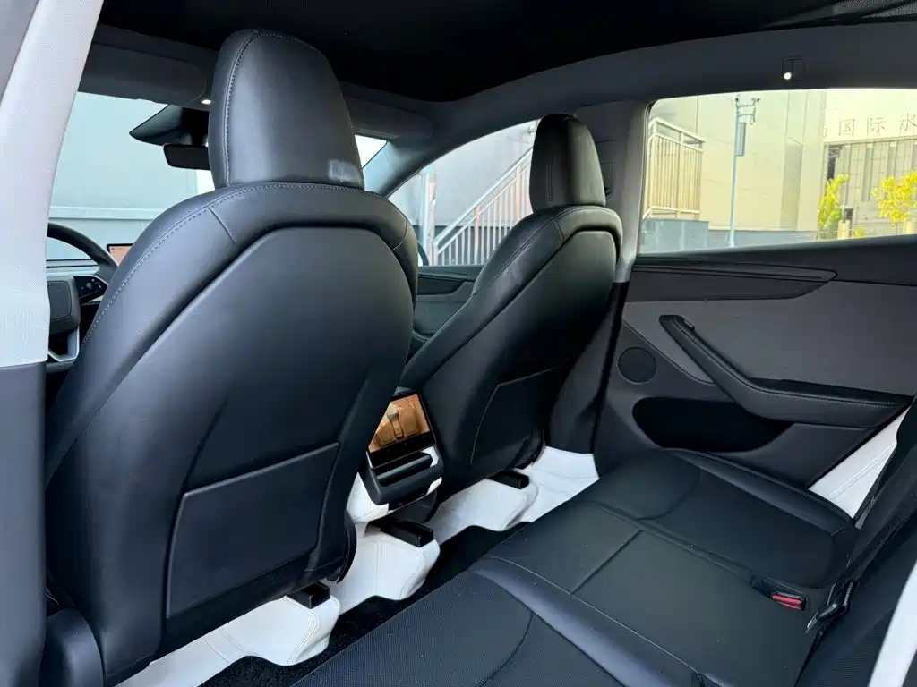 Tesla Model Y — миниатюра 19