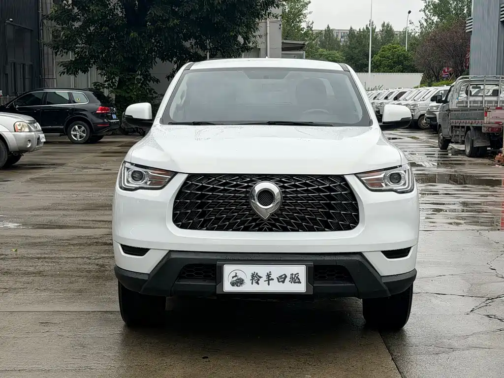 Great Wall Pao — миниатюра 2