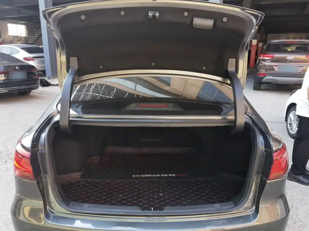 Changan Ruicheng CC — миниатюра 19