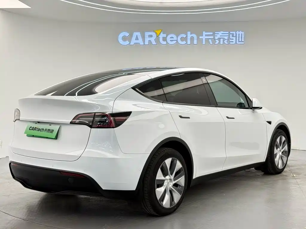 Tesla Model Y — миниатюра 4