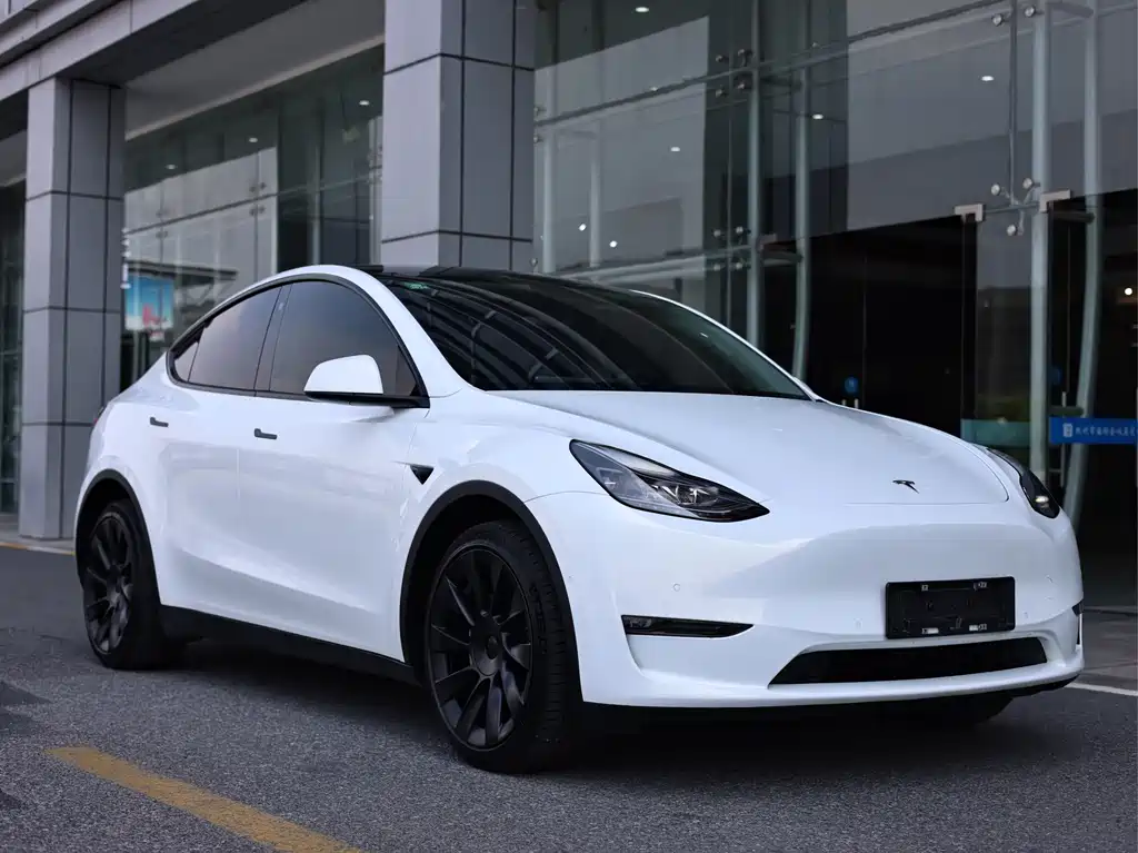 Tesla Model Y — миниатюра 3