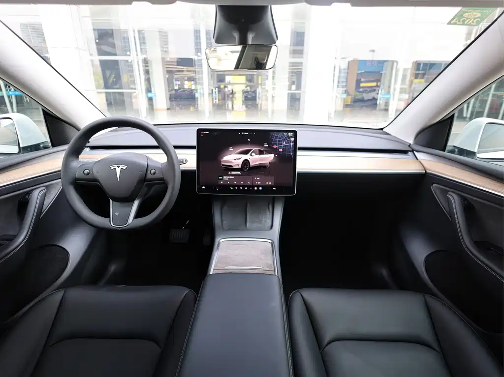 Tesla Model Y — миниатюра 10