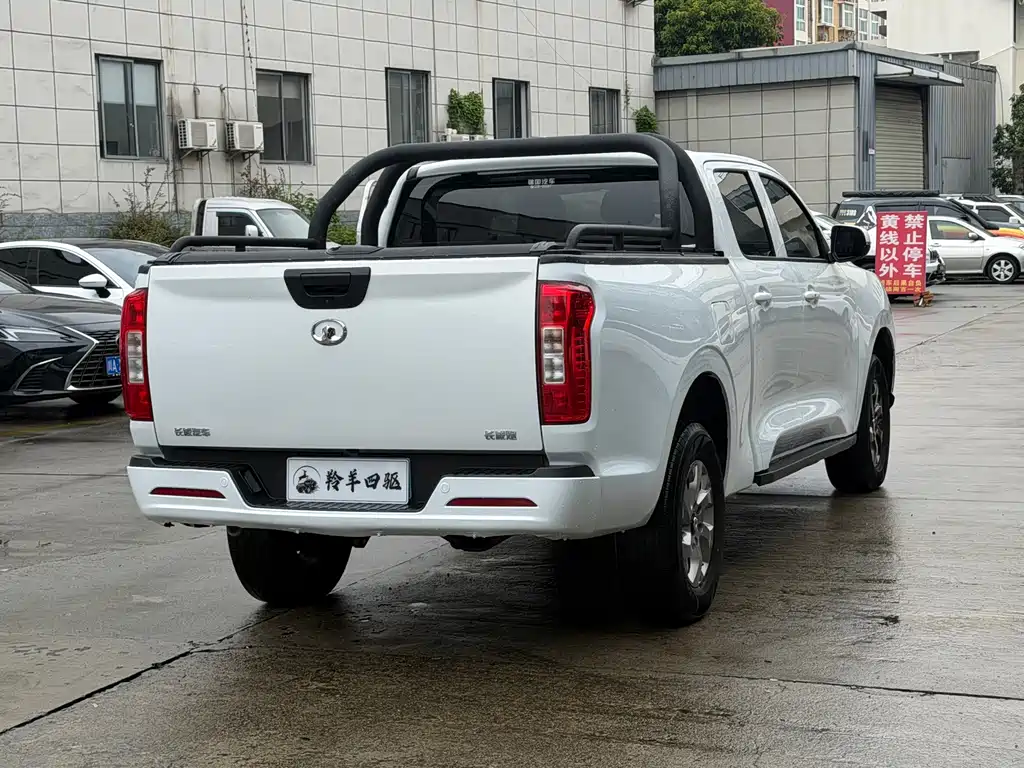 Great Wall Pao — миниатюра 8