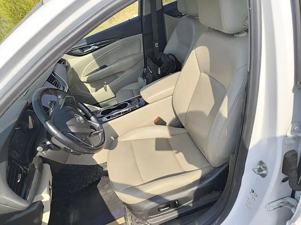 Buick Regal — миниатюра 20