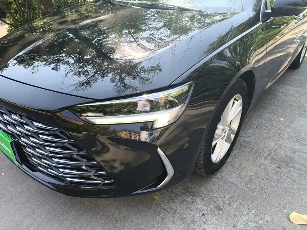 Buick Regal — миниатюра 24