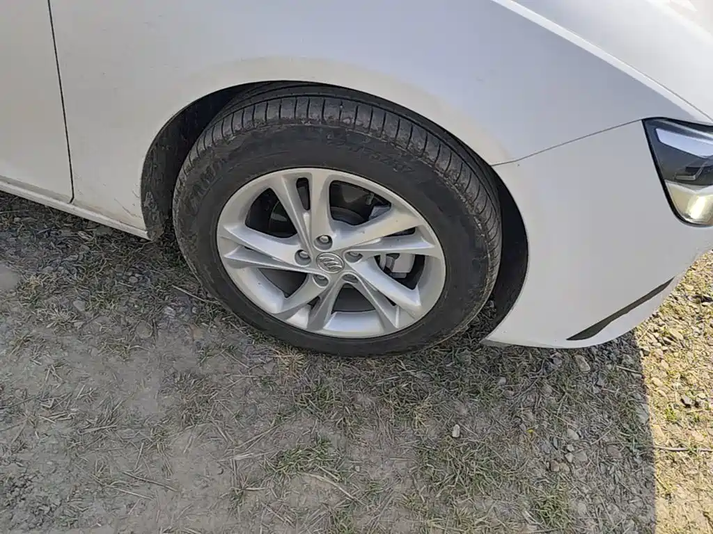 Buick Regal — миниатюра 12