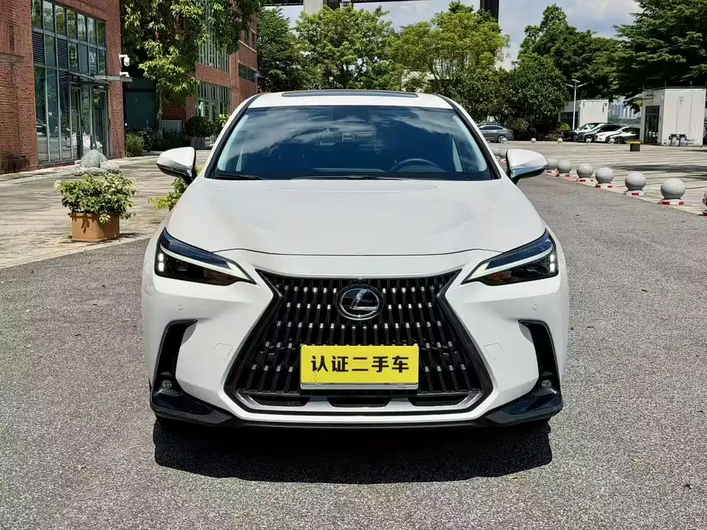 Lexus NX — миниатюра 5