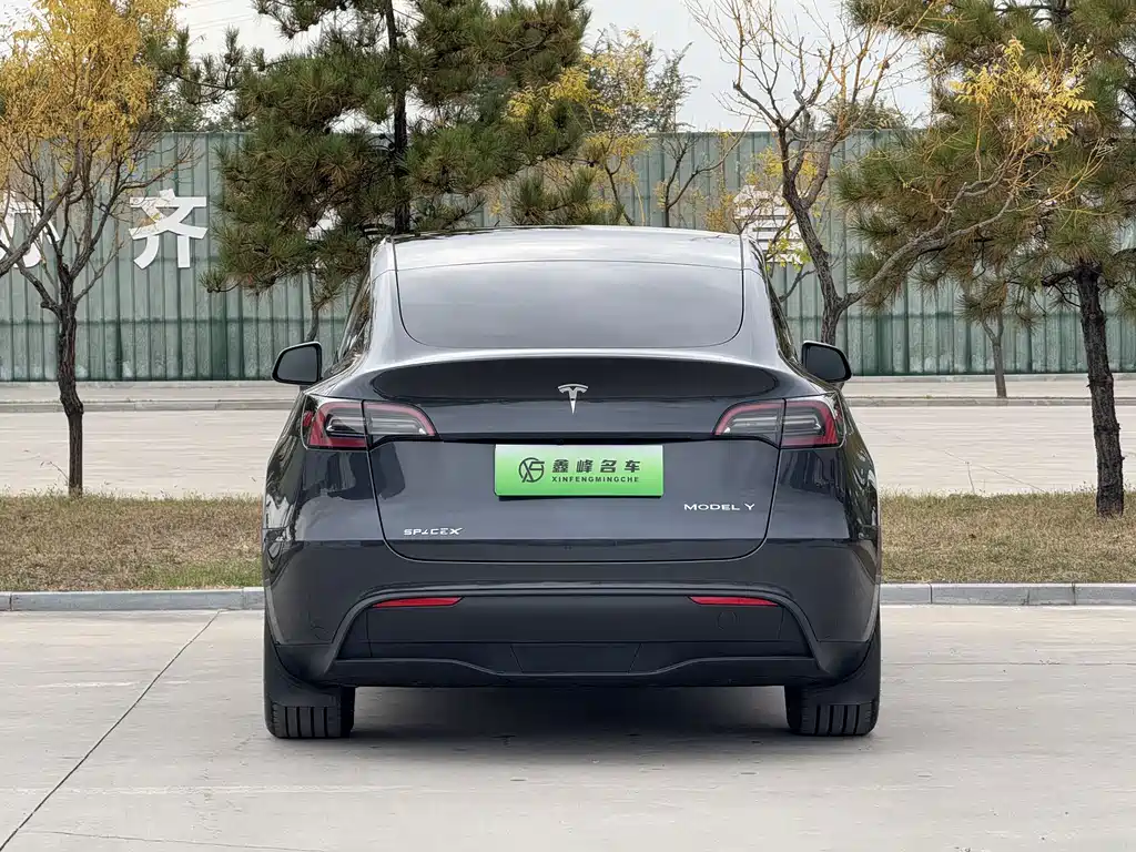 Tesla Model Y — миниатюра 19