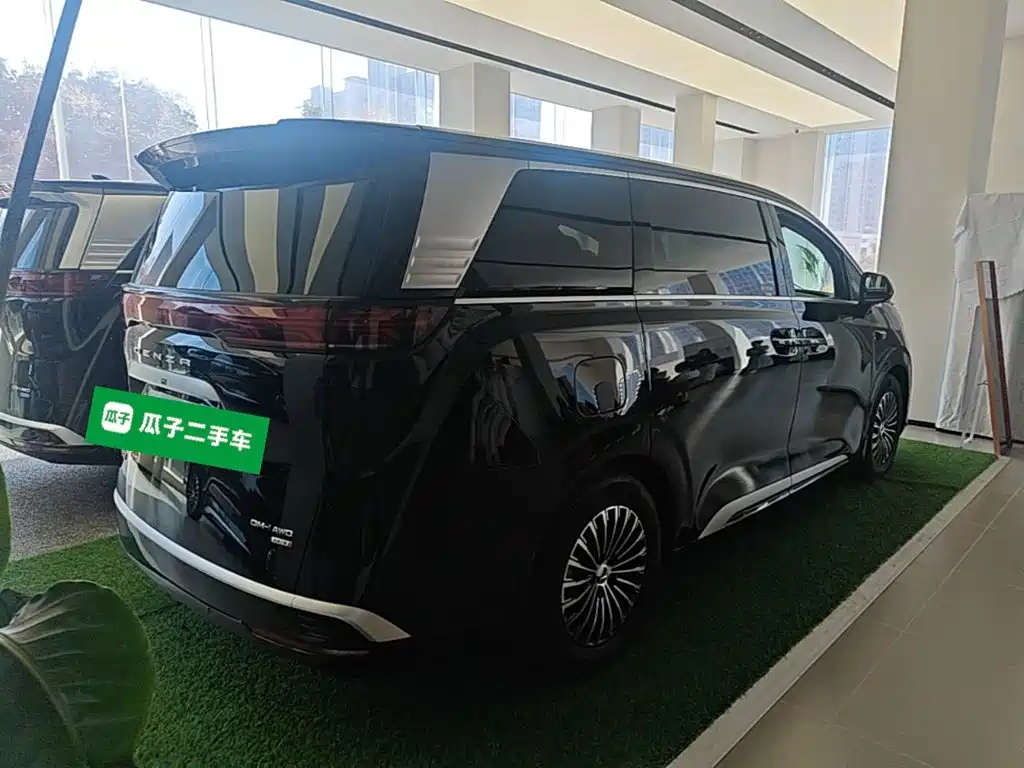 Denza Denza D9 — миниатюра 7