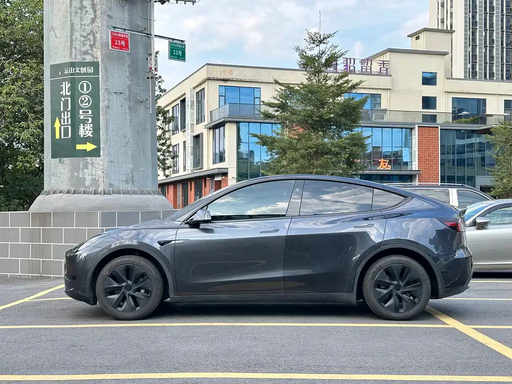 Tesla Model Y — миниатюра 4