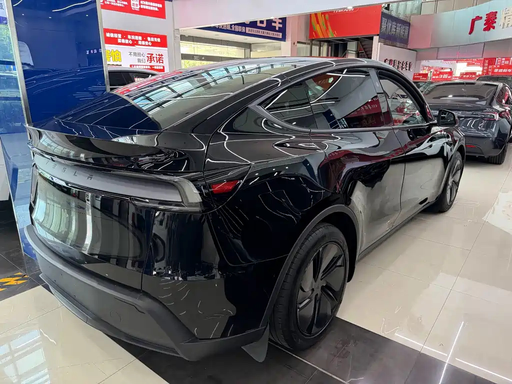 Tesla Model Y — миниатюра 4