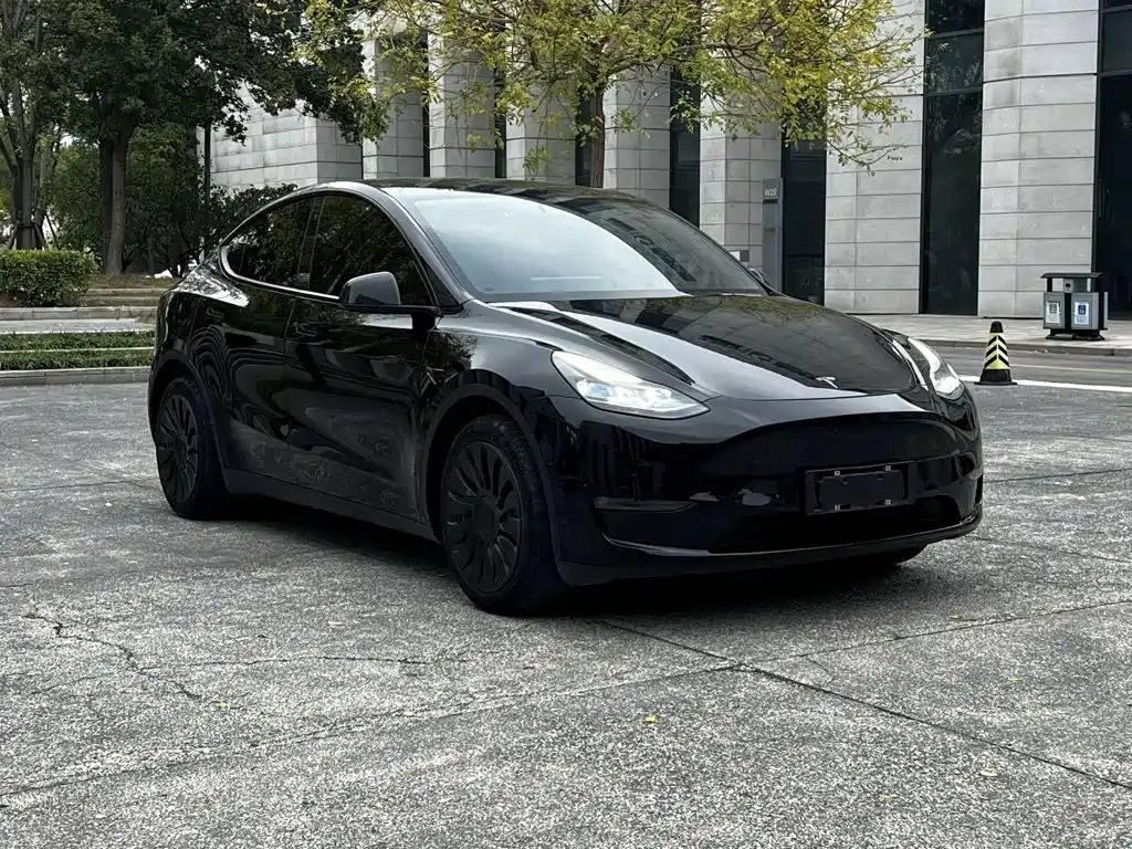 Tesla Model Y — миниатюра 3