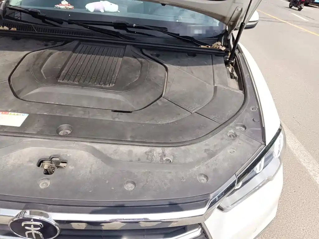 BYD Pro New Energy — миниатюра 23