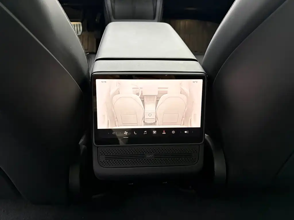 Tesla Model 3 — миниатюра 11