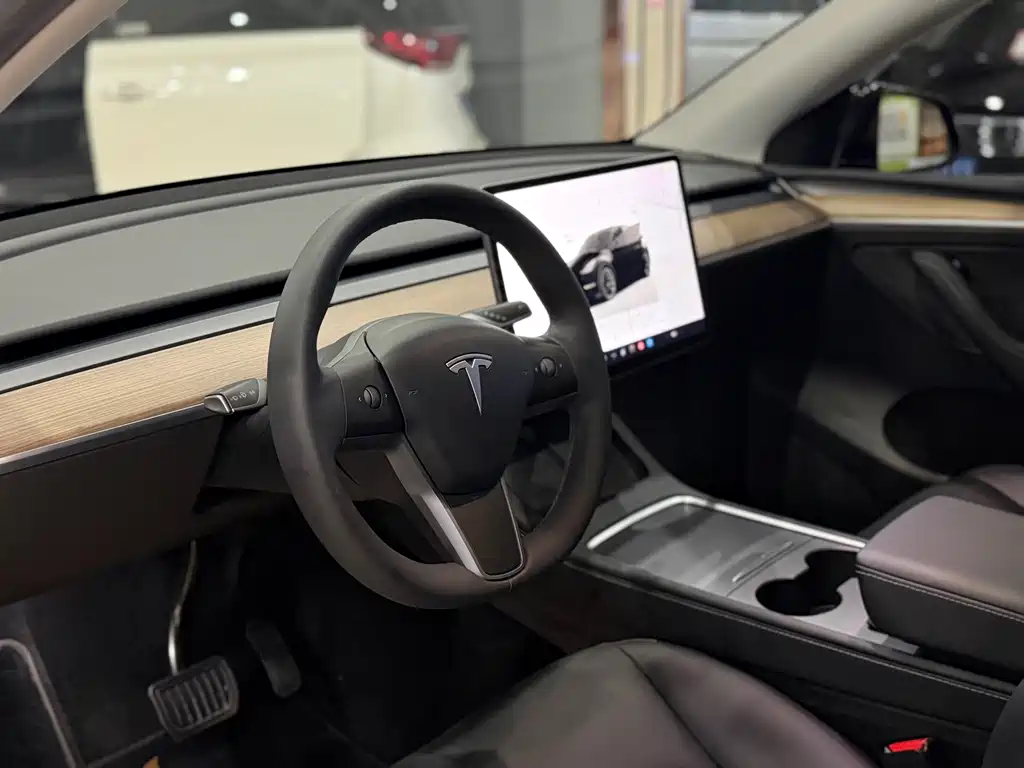 Tesla Model Y — миниатюра 4