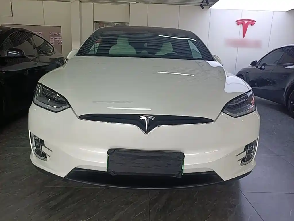 Tesla Model X — миниатюра 3