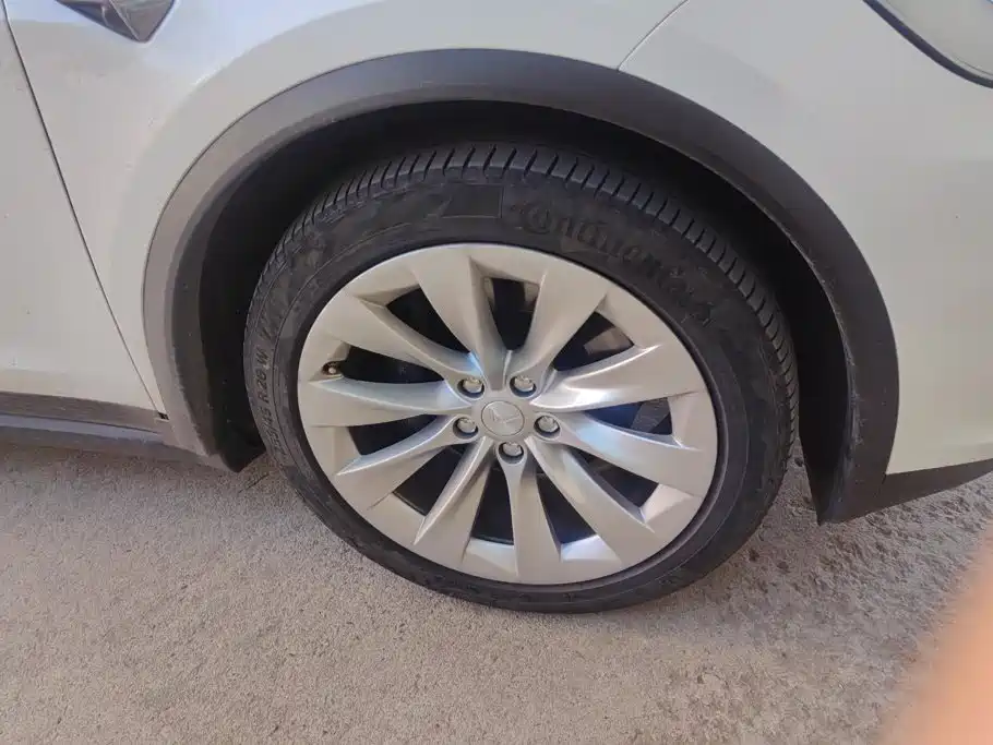 Tesla Model X — миниатюра 6