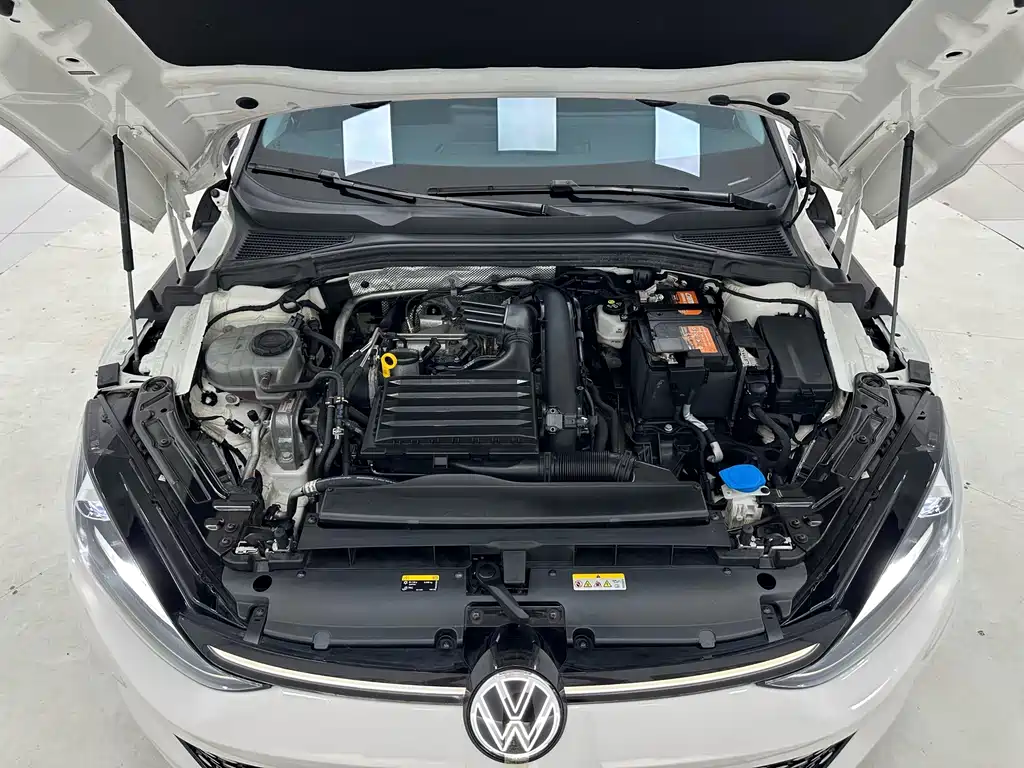 Volkswagen Lamando — миниатюра 17