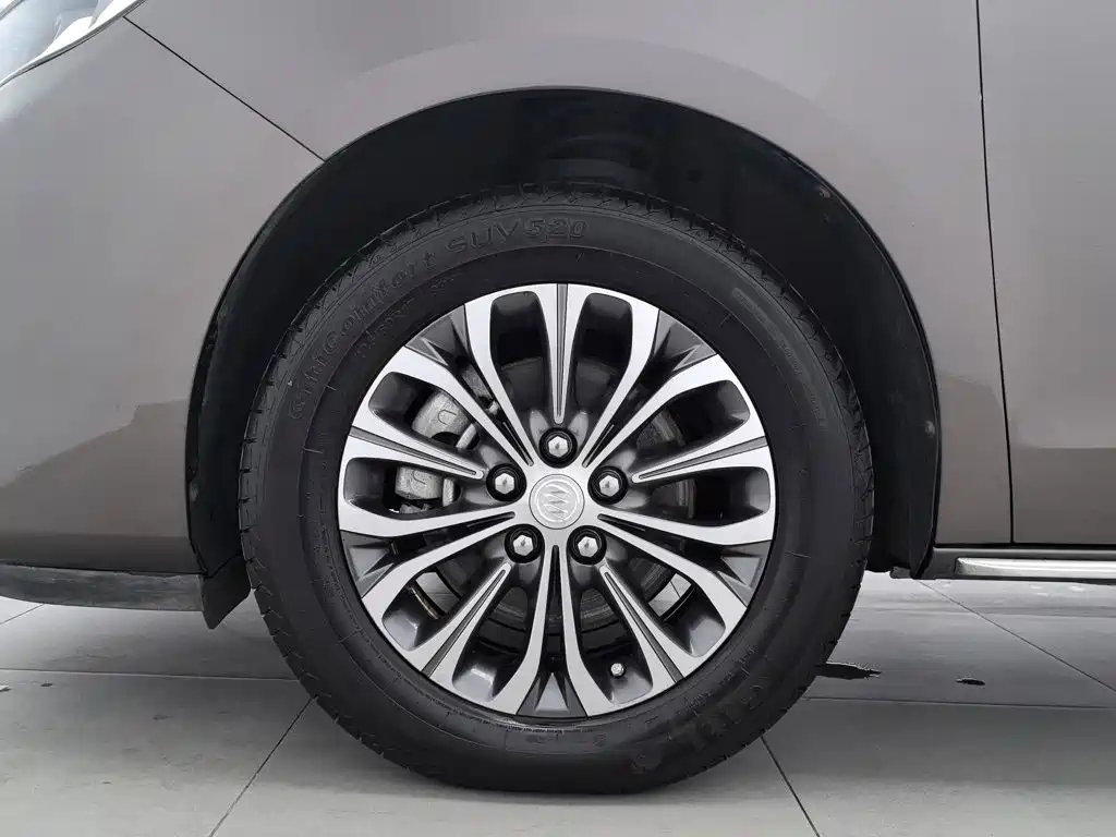 Buick GL8 — миниатюра 17