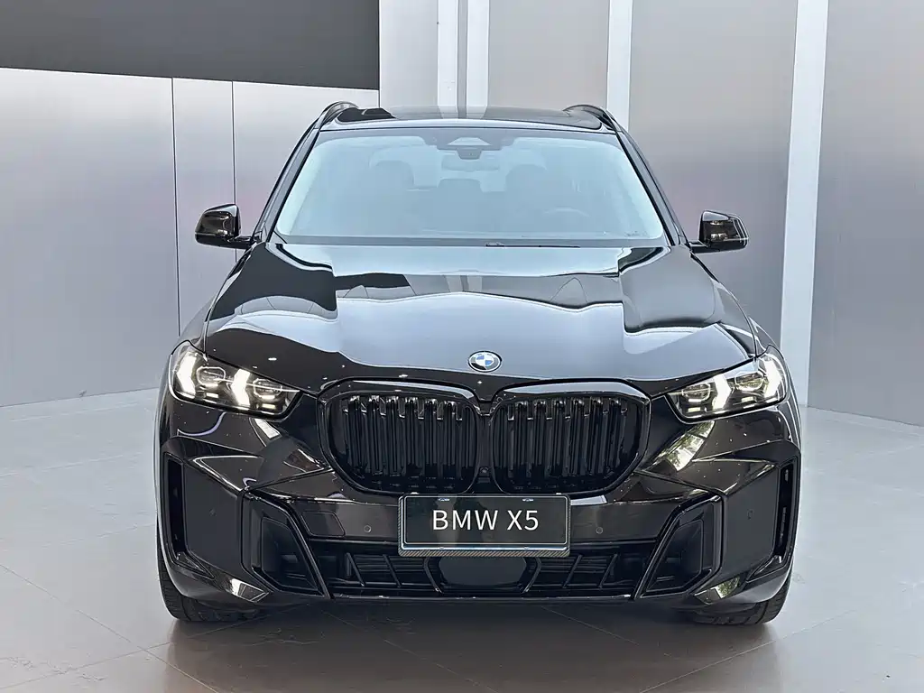 BMW X5 — миниатюра 2