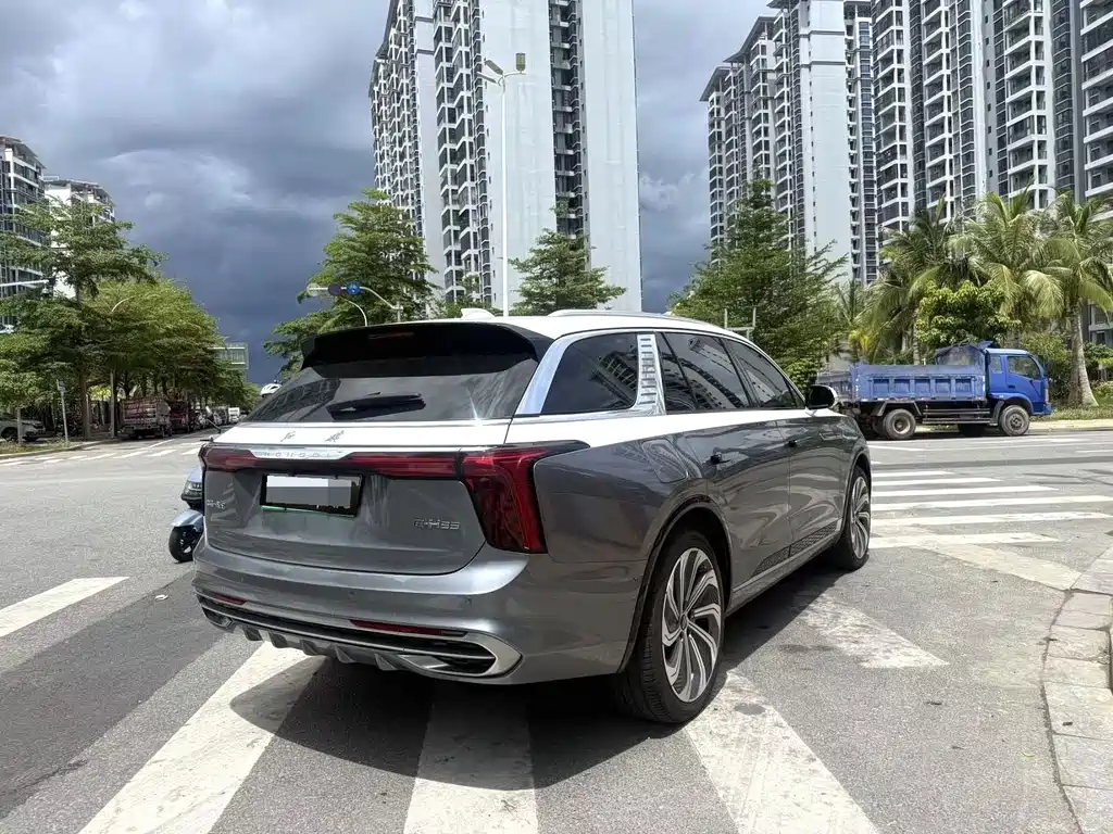 Hongqi Hongqi E-HS9 — миниатюра 9