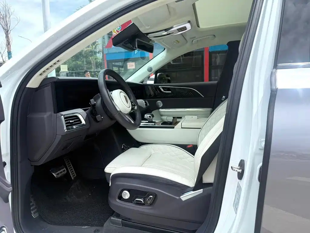 Hongqi Hongqi E-HS9 — миниатюра 5