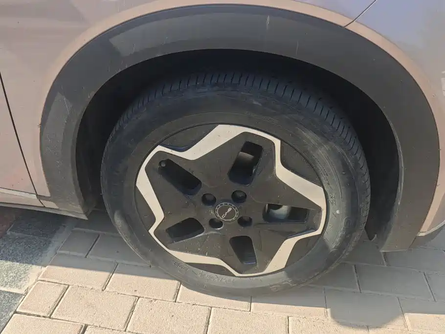 BYD Dolphin — миниатюра 6