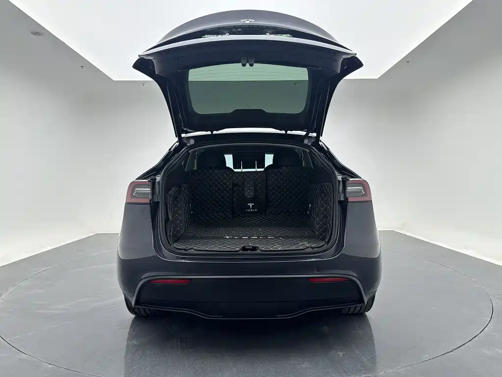 Tesla Model Y — миниатюра 10