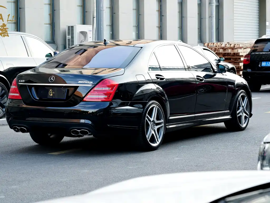 Mercedes-Benz S-Class A MG S AMG 2010 AMG S 65