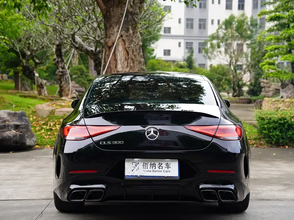Mercedes-Benz CLS 2021 CLS 300 Luxury