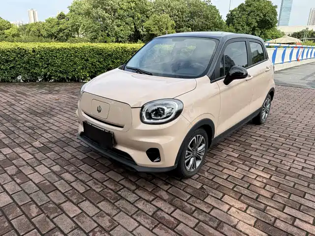 2021 Leapmotor T03
