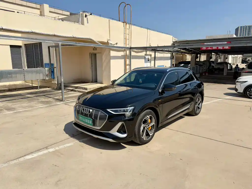 Audi e-tron — миниатюра 2