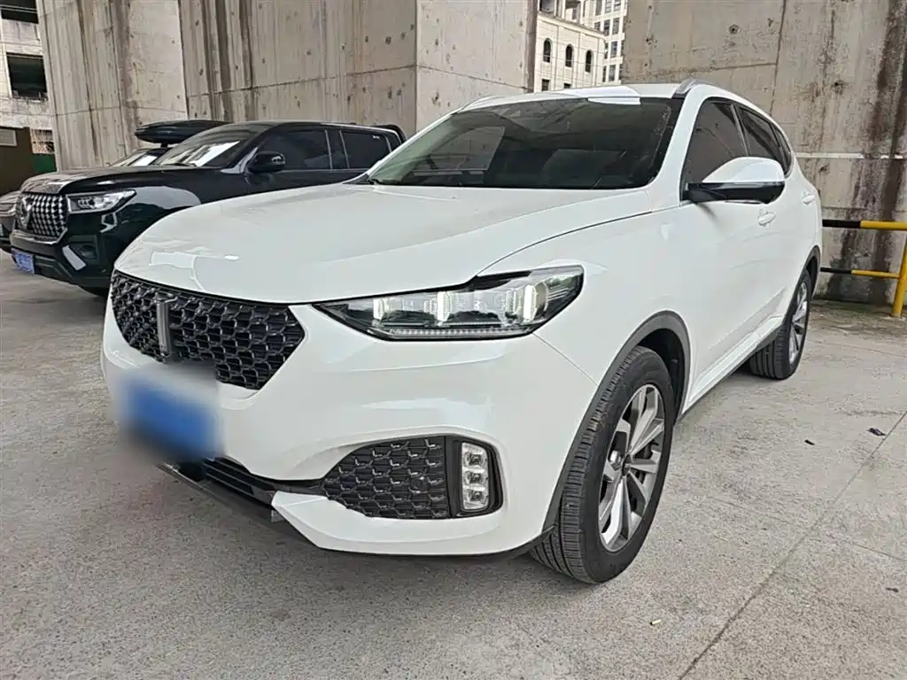 Wey Wey VV6 2020