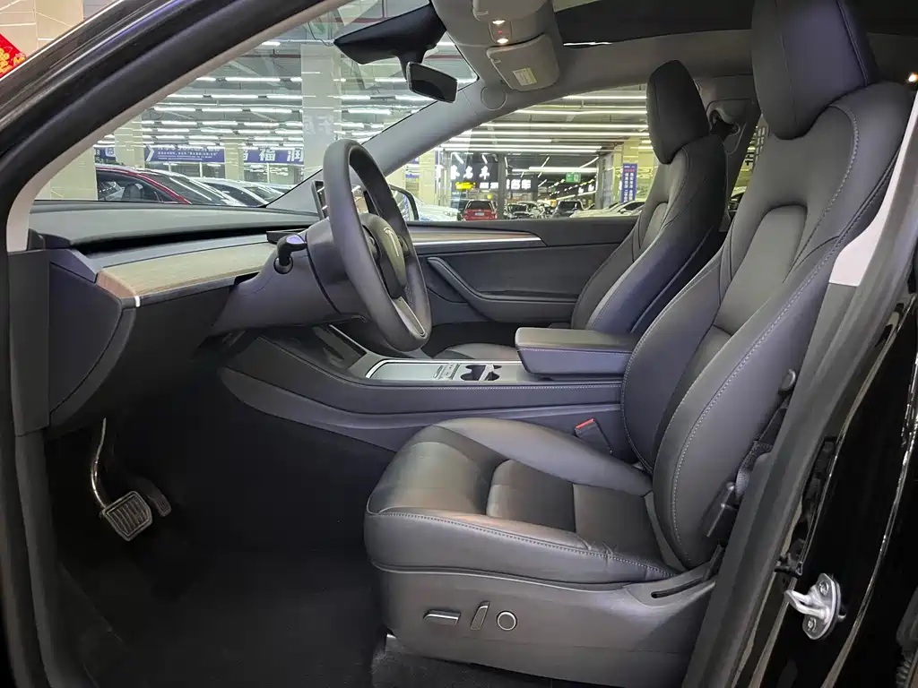 Tesla Model Y — миниатюра 6